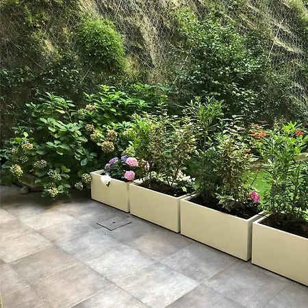 Maison Blanche - Design